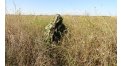 Маскировочный халат Taganrog Кикимора – купить по цене 3550 руб. в интернет-магазине в городе Чебоксары картинка 13