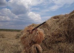 Маскировочная одежда для охоты в интернет-магазине в Чебоксарах, купить маскировочную сеть с доставкой картинка 28